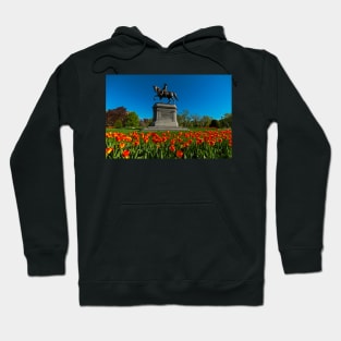 Boston Public Garden Tulips Boston MA Hoodie